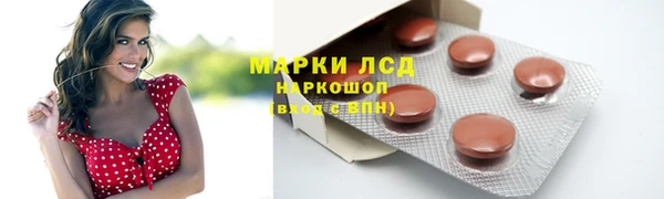 ГАЛЛЮЦИНОГЕННЫЕ ГРИБЫ Абаза
