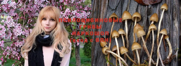 a pvp Абдулино