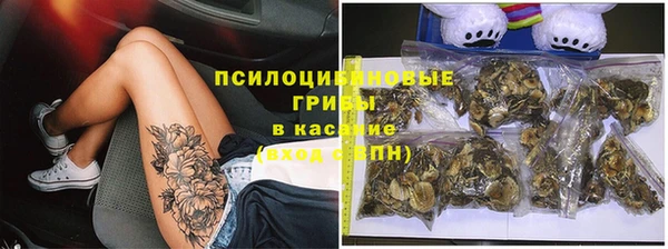 ГАЛЛЮЦИНОГЕННЫЕ ГРИБЫ Абаза